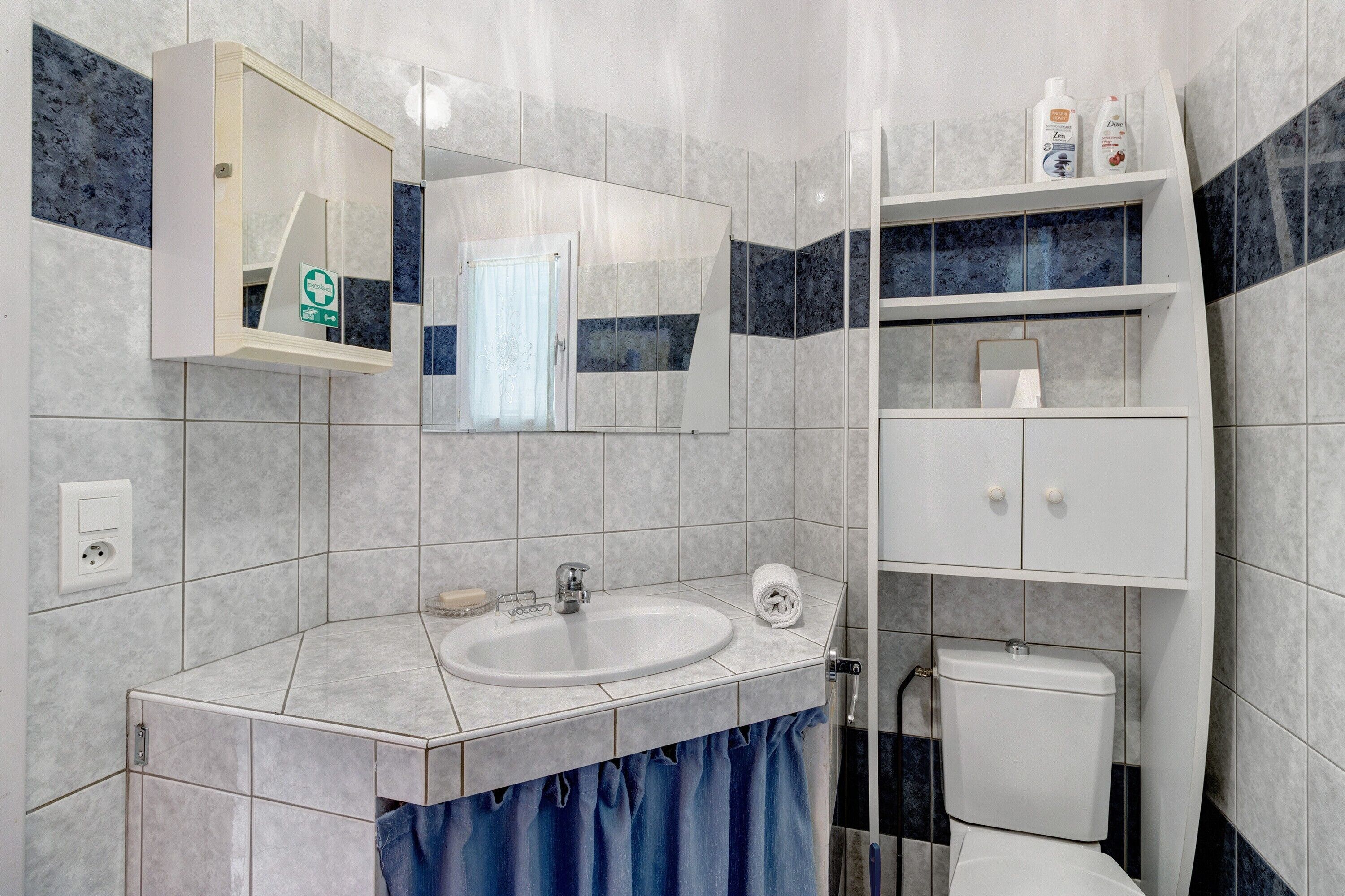 A bathroom with a sink, mirror, toilet, and shelves with toiletries.
