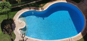 Eine Vogelperspektive zeigt einen Pool mit geschwungener Kante, umgeben von einer Steinsichtschutzwand und einem Rasen mit Bäumen.
