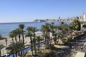 A coastal cityscape with a beach, palm trees, and a clear blue sky. - SAN Pedro 3 Bedrooms (Benidorm)