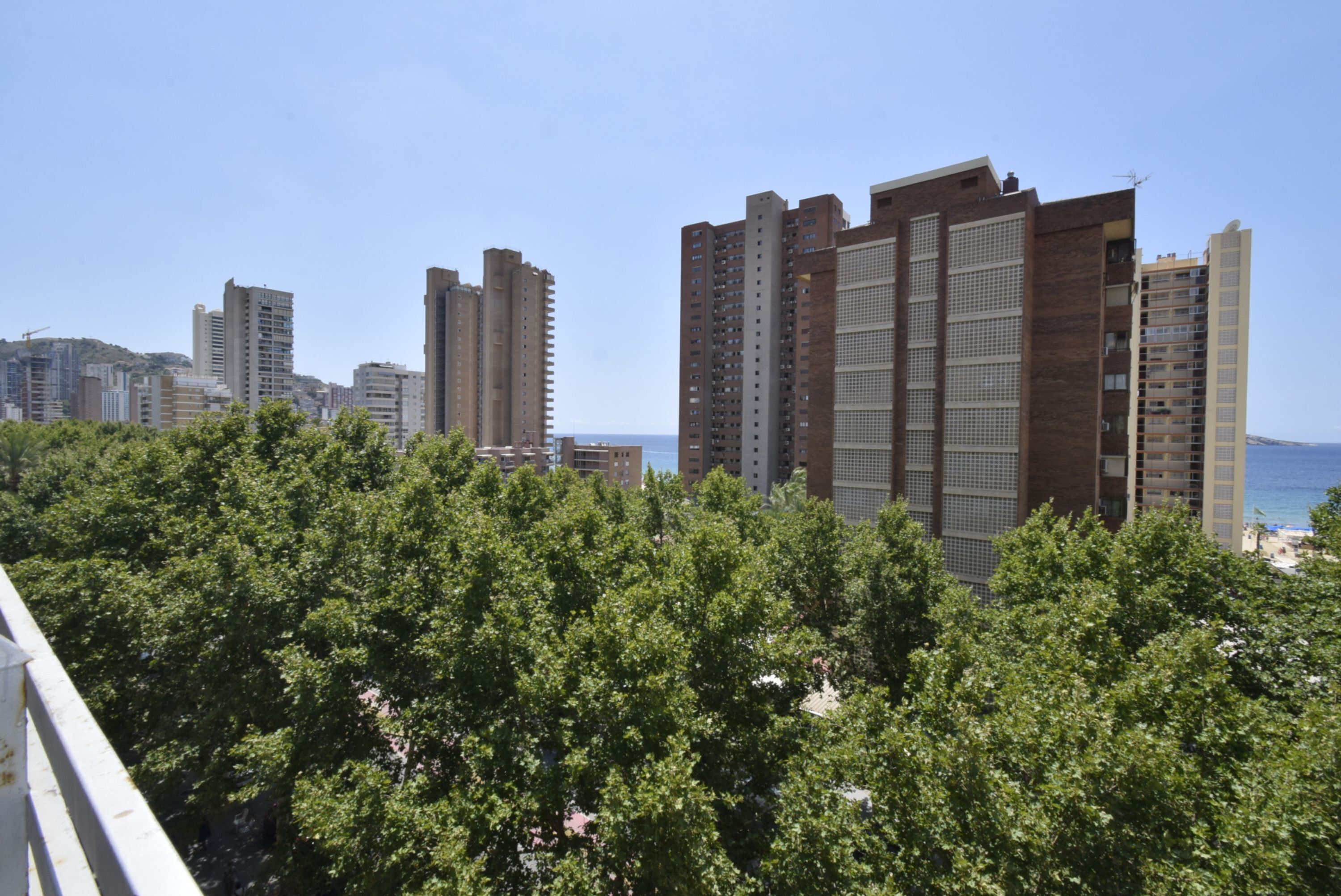 A high-rise building with multiple floors, surrounded by dense green trees.