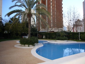 Ein Pool mit gewölbter Kante, umgeben von einem gepflasterten Gehweg. Im Hintergrund sind Palmen und weitere Grünflächen zu sehen.