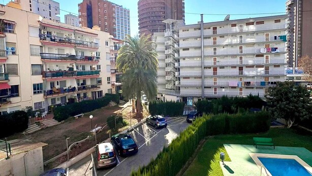 A residential building with multiple balconies, a swimming pool, and a palm tree. - DON Paco 5B in Benidorm (Benidorm)