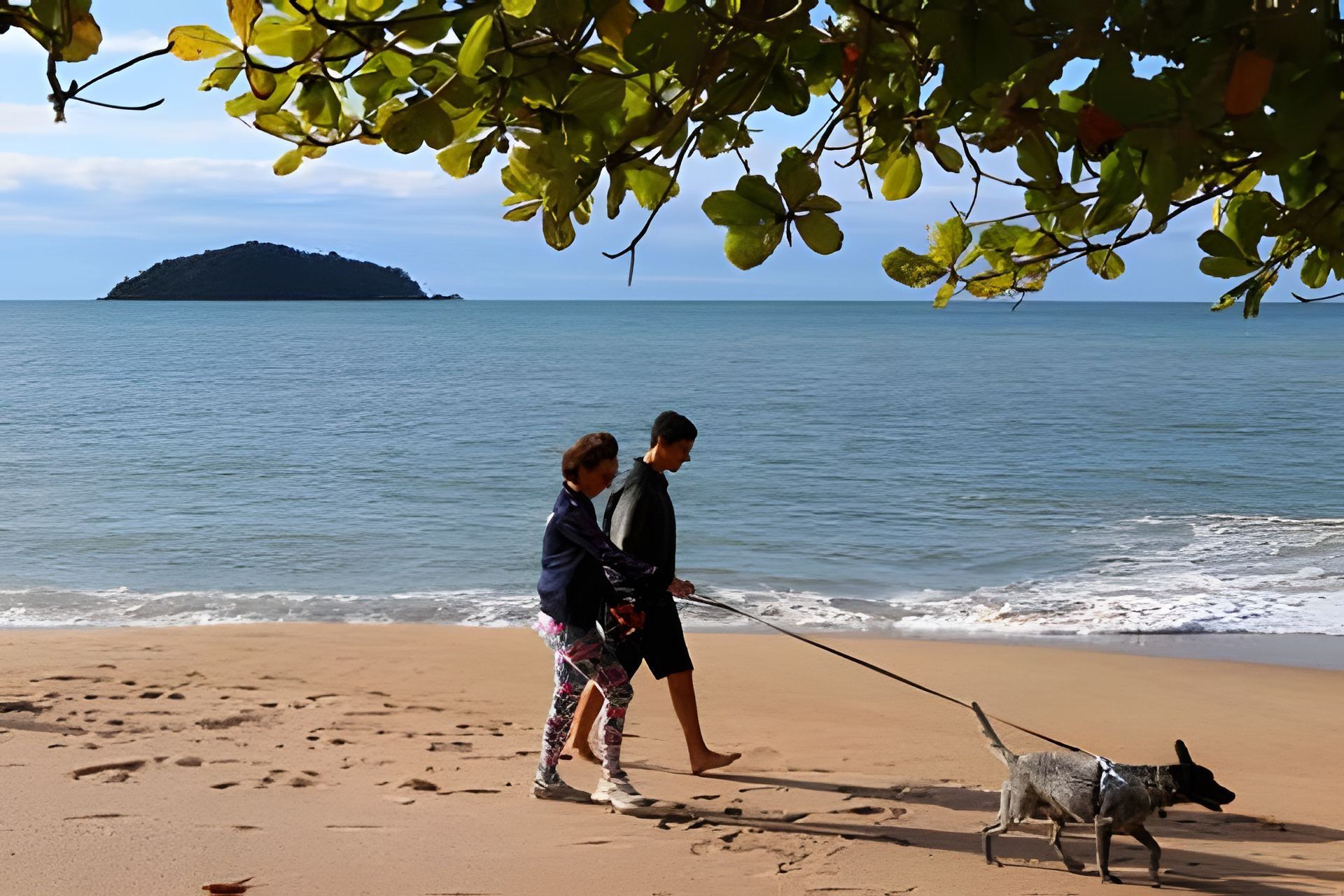Une plage avec un chien tenu en laisse, une personne qui se promène et une île au loin.