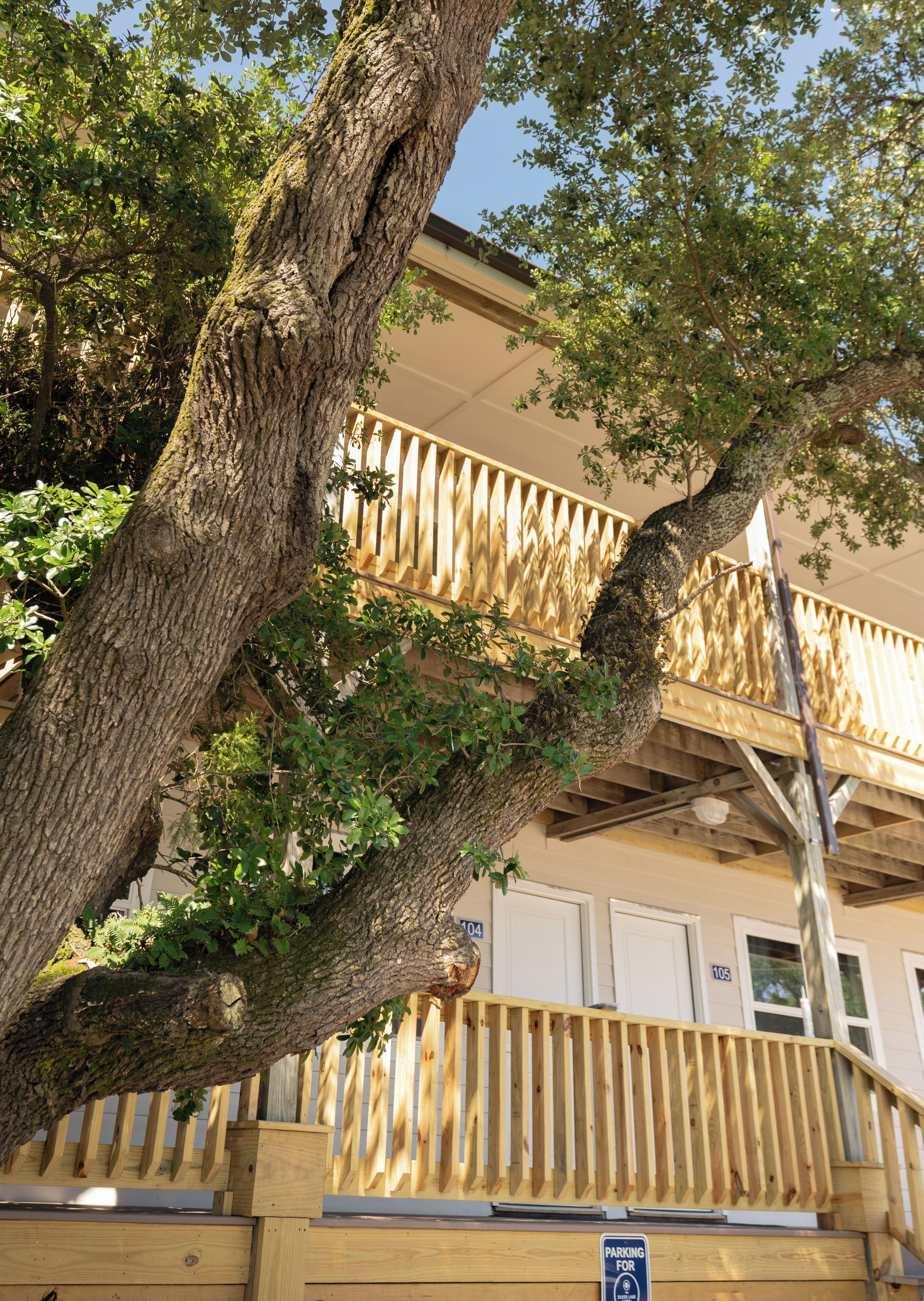 A building with a wooden balcony, a tree in front, and a sign indicating parking availability.