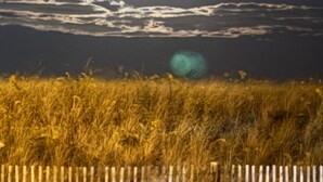 A night scene with a full moon, a cloudy sky, and a field of tall grass in the foreground.