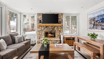 Smart TV, fireplace, books