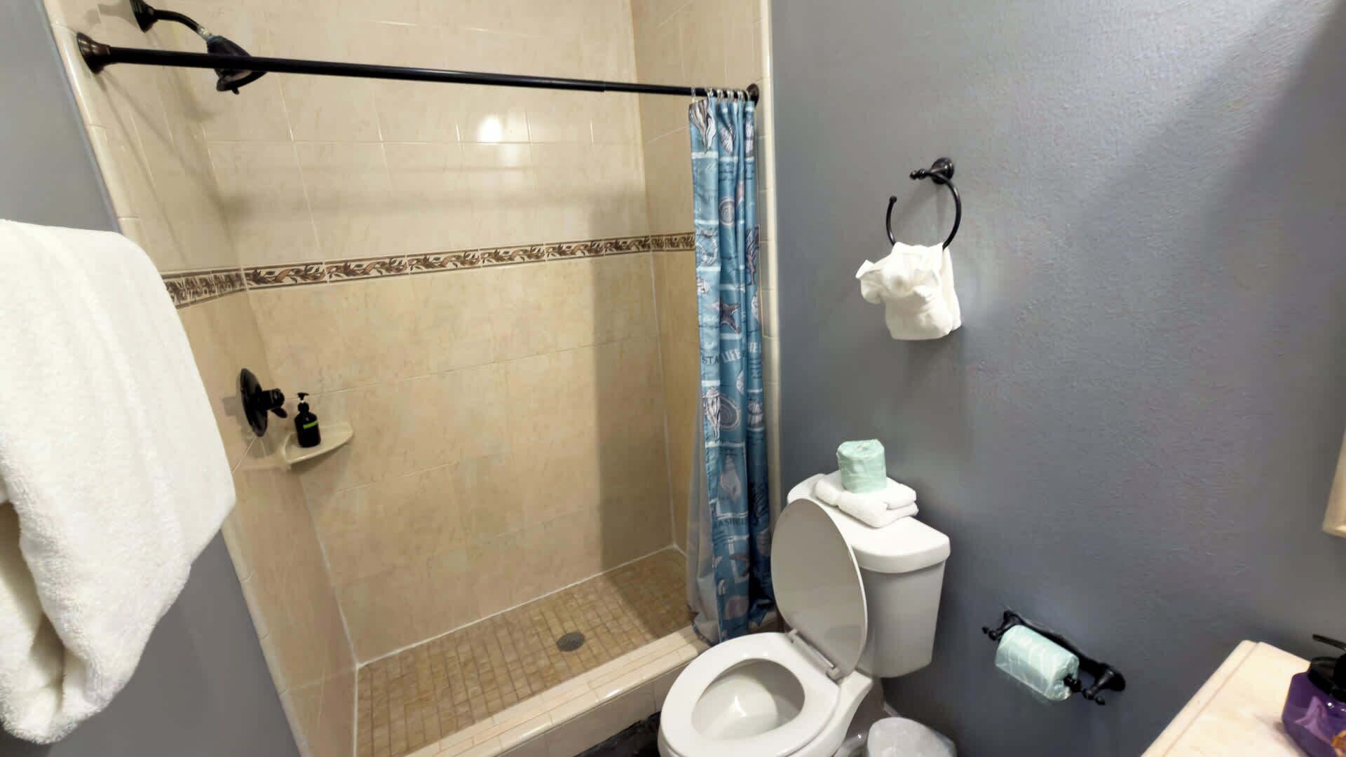Une salle de bain avec douche, toilettes et porte-serviettes.