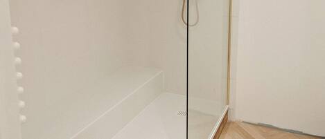 Shower, hair dryer, soap, toilet paper