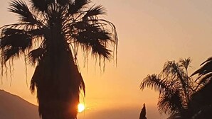 Atardecer con palmeras silueteadas contra el cielo.