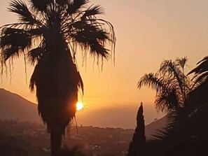 A sunset with palm trees silhouetted against the sky. - Cabaña Verde (2PAX) mit Pool und privater Terrasse (La Orotava)