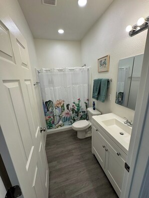 Bathroom - Historic Broad St Apt 8 in Upton’s Confectionery (Globe)