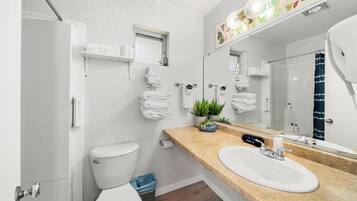 Hair dryer, towels, soap, toilet paper