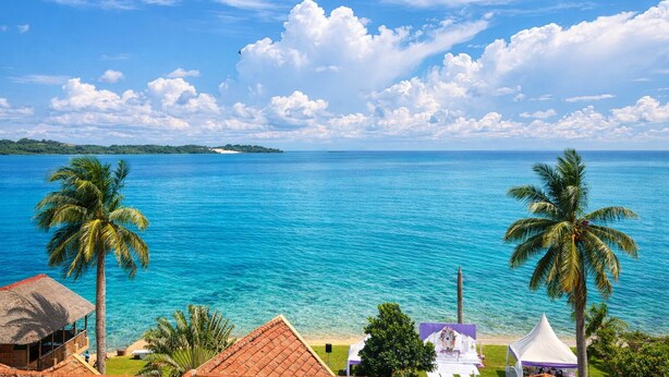 A tropical beach view with clear blue water, palm trees, and a distant island.