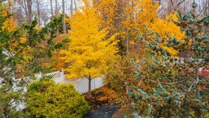 Property grounds - Graceful and inviting, The Serenity Garden Suite
No Cleaning Fee (Newcastle)