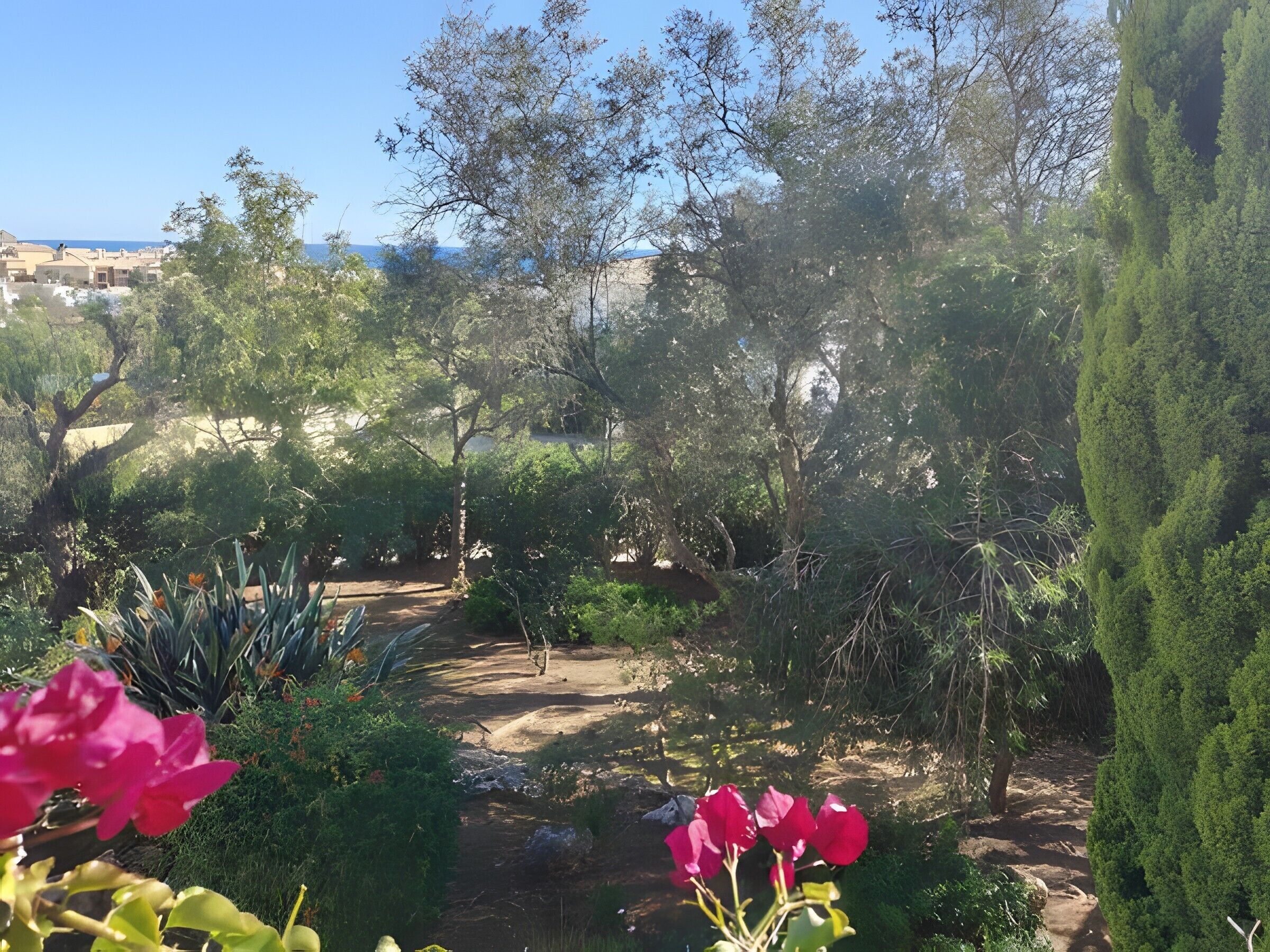 Área da propriedade