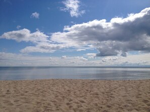 Beach - True Beach Front Cottage in Turkey Point. Rare find. (Vittoria)