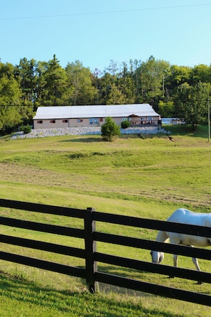 A rural landscape with a barn, open fields, and a horse grazing.