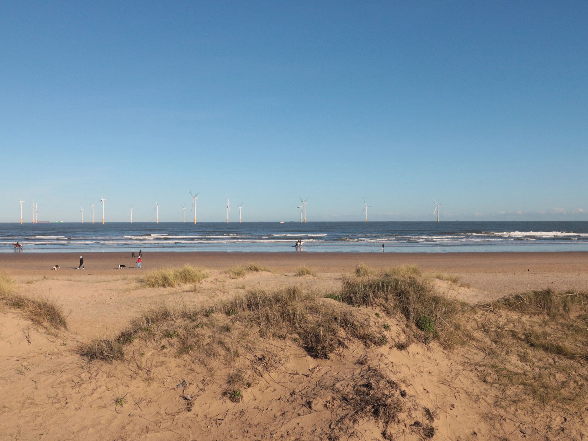 Una spiaggia con turbine eoliche all'orizzonte, dune sabbiose e cielo azzurro.