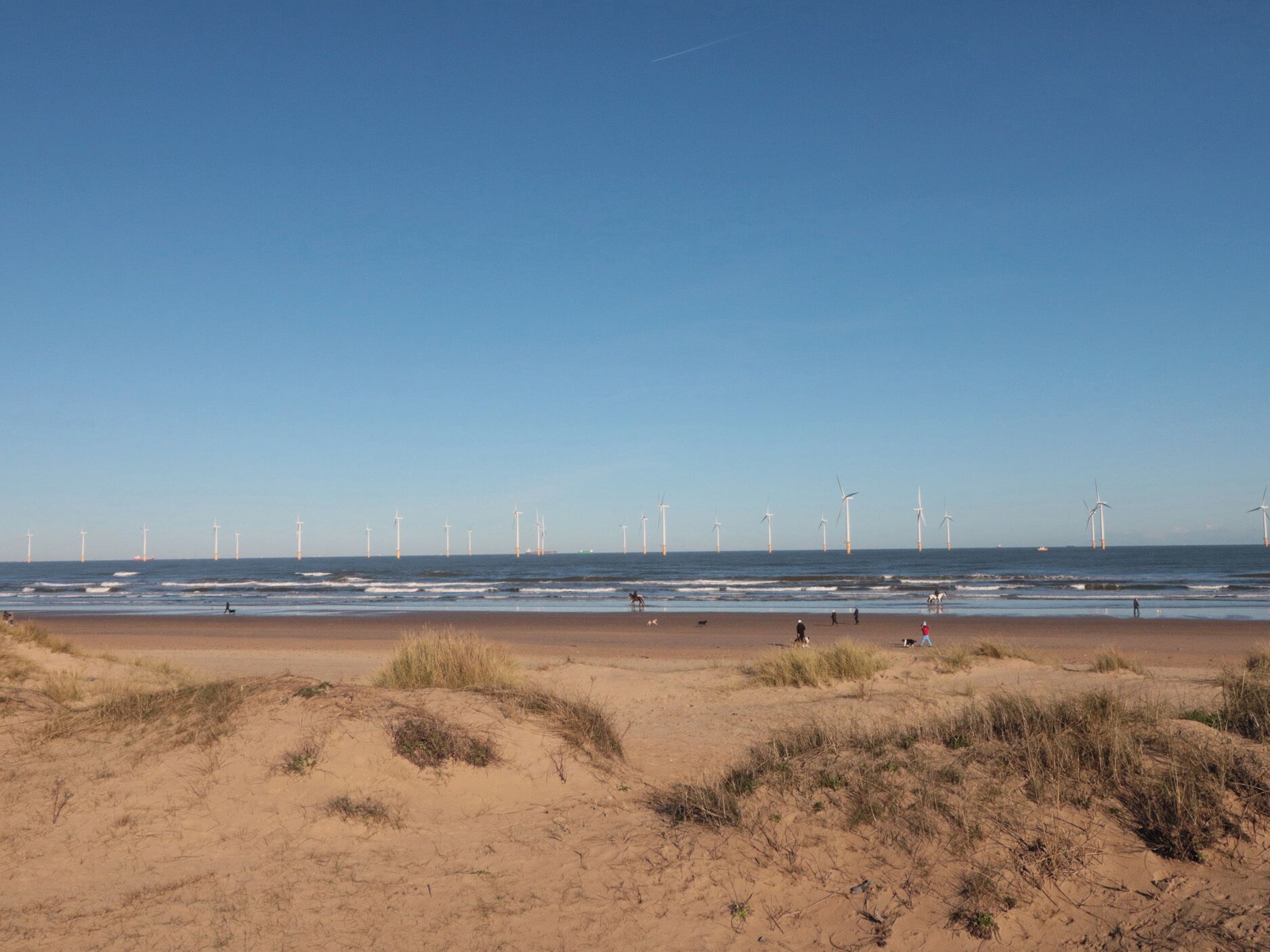 A beach with wind turbines in the distance, sandy dunes, and a clear sky.