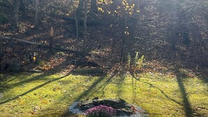 Une terrasse avec un pot de fleurs au premier plan, entourée d’une pelouse parsemée de feuilles et, au fond, une clôture en bois.