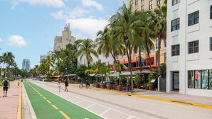 A street with a bike lane, palm trees, and buildings with storefronts. - The Netherland 2A (Miami Beach)