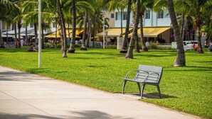 A park with a bench, palm trees, and a building with yellow awnings in the background. - The Netherland 2A (Miami Beach)