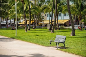 Un parque con un banco, palmeras y un edificio al fondo con toldos amarillos.