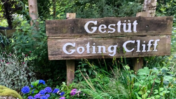 En träskylt med texten ”Gestüt Goting Cliff”, omgiven av grönska och blommor.
