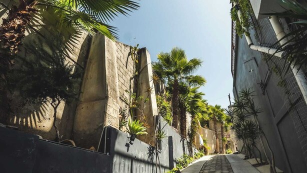 Property grounds - Lavish Apartment #6: Upscale Chapultepec District (Tijuana)