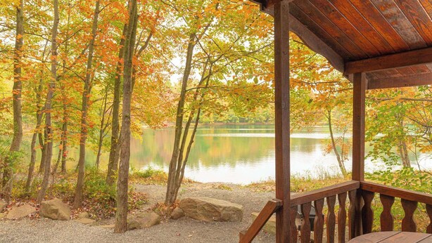 A wooden gazebo with a gravel path leading to a lake, surrounded by trees with autumn foliage.