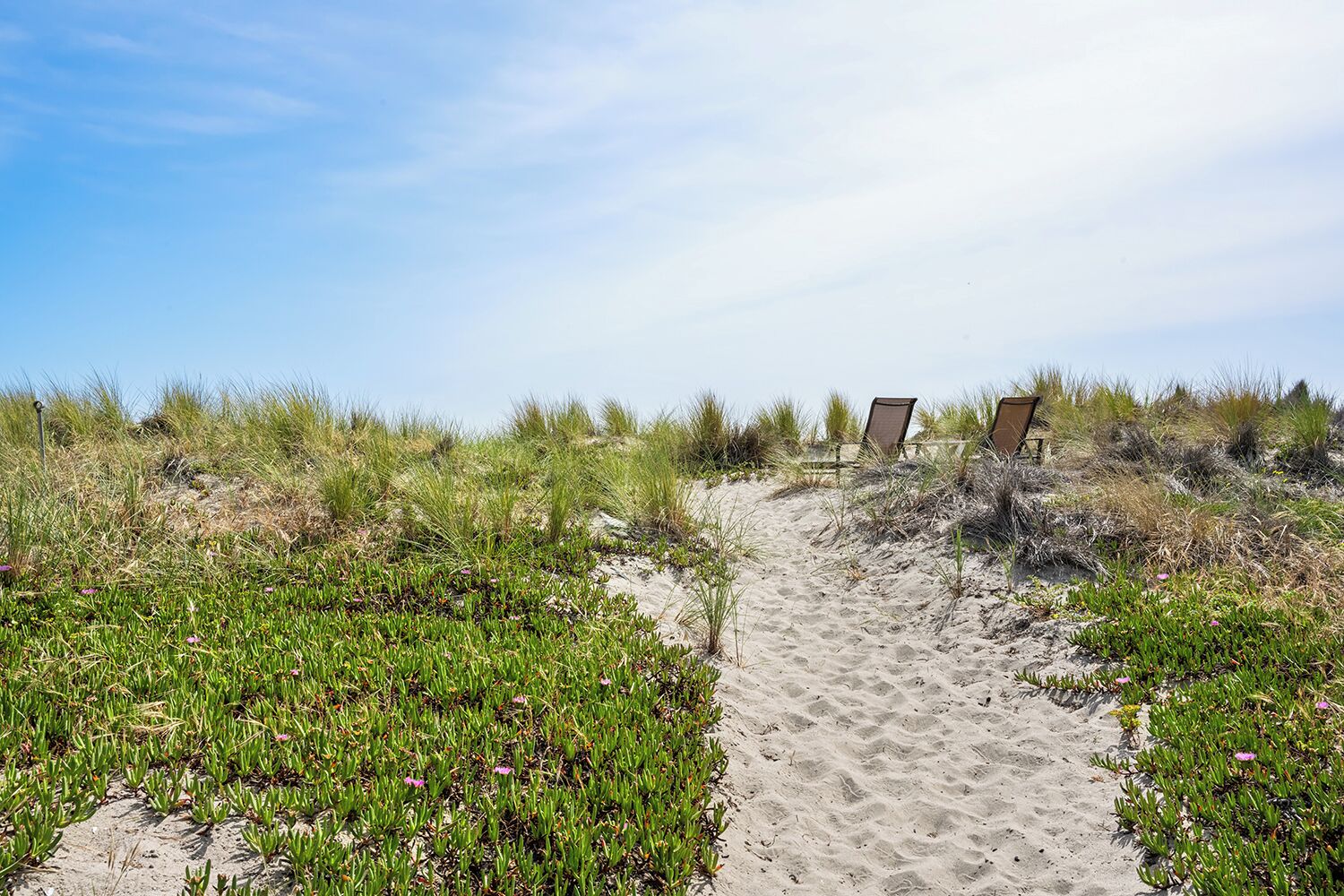 Un sentier de sable qui longe la plage et mène à des chaises de plage, entouré de dunes herbeuses et d’une végétation basse.