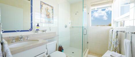 Shower, hair dryer, towels