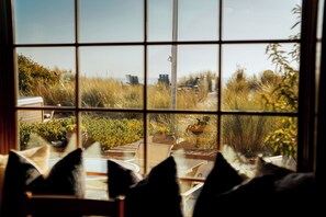 A view through a window with a grid pattern, featuring outdoor seating and plants. - Fabulous Oceanfront Family Home in Seadrift (Stinson Beach)