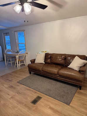 Living area - Georgia Street (Mountain City)