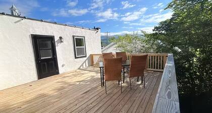 1 Bedroom Downtown Apartment