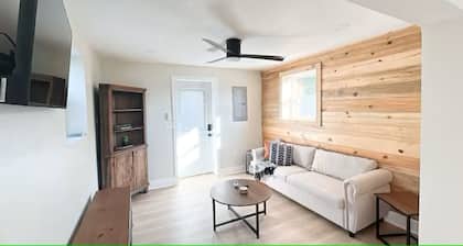 1 Bedroom Downtown Apartment