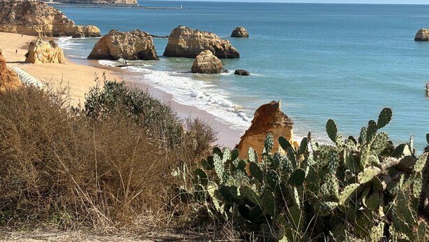 A coastal landscape with rocky formations, a sandy beach, and cactus plants. - Studio Apartment 'Ocean - Pet Frendly' with Balcony, Wi-Fi and Air Conditioning (Portimão)