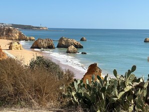 A coastal landscape with rocky formations, a sandy beach, and cactus plants. - Studio Apartment 'Ocean - Pet Frendly' with Balcony, Wi-Fi and Air Conditioning (Portimão)