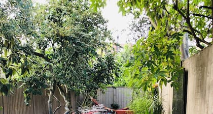 Oasis Garden tiny independent studio-like in Notting Hill area (W12) West London