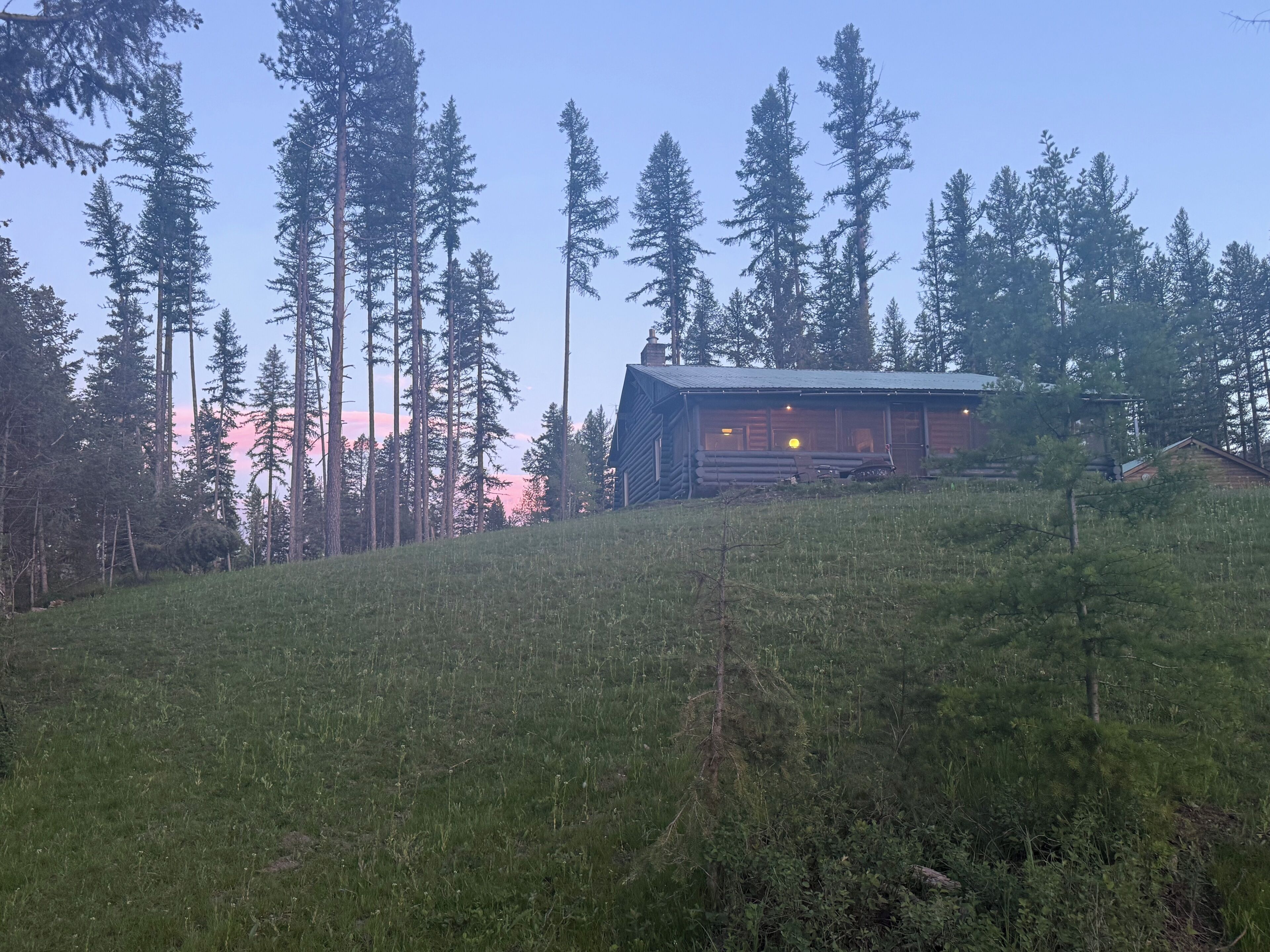 A log cabin with a porch, surrounded by tall pine trees, set on a grassy hill.
