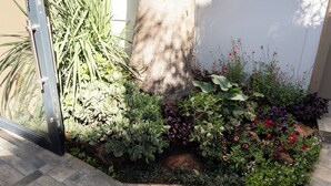 Un jardín con diversas plantas y una estructura de metal.