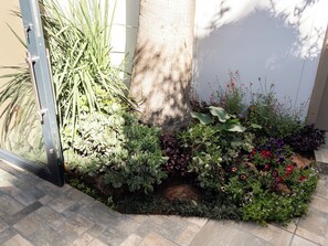 A garden with various plants and a metal structure.