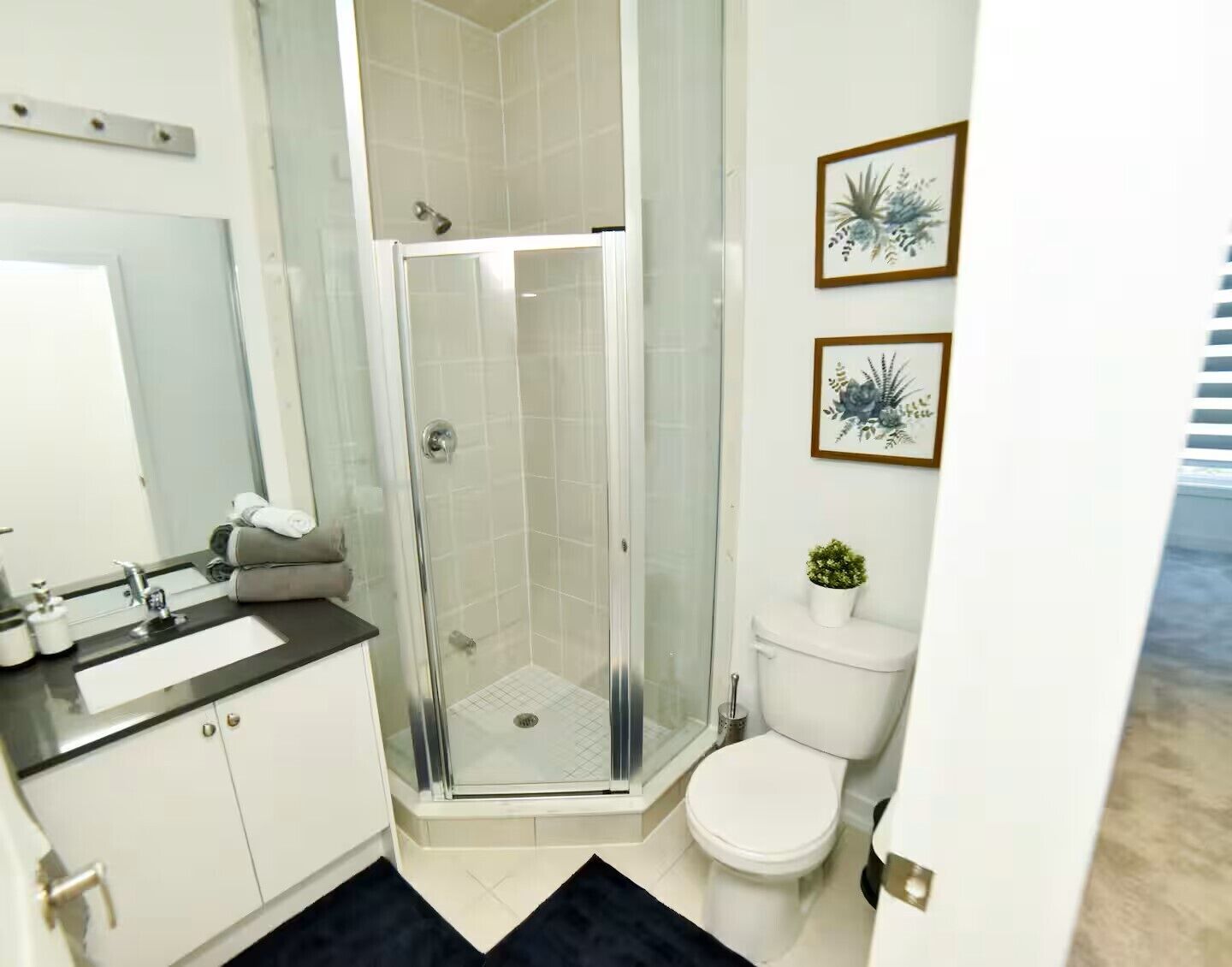 Une salle de bain avec une douche à parois de verre, des toilettes, un lavabo avec un miroir et des œuvres d’art encadrées accrochées au mur.