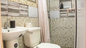 Un baño con inodoro, lavabo y zona de ducha.