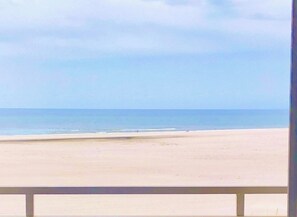 Beach - Beach view. Wall to wall windows in all rooms. (Marco Island)