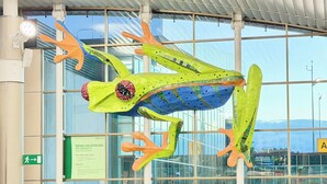 A large, colorful frog sculpture hanging from the ceiling in a public space with glass windows and seating areas. - Cozy 1-bedroom house in beautiful Grecia with AC (Grecia)