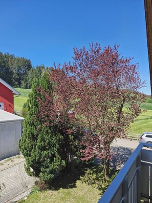 A red building, a tree with red leaves, and a clear blue sky. - Apartment Eva with balcony right on the edge of the forest (Woringen)