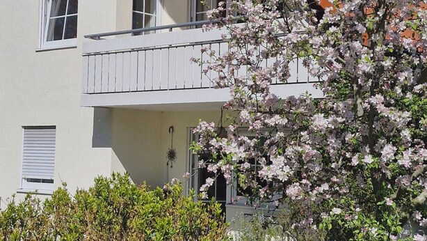 Ein zweistöckiges Gebäude mit Balkon, einem blühenden Baum und einer Blumentopf-Pflanze.