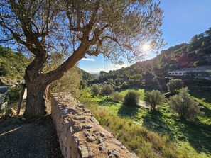 Exterior - Finca Can Sec Agrotourism in Alaró (Alaró)