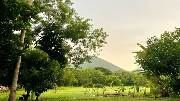 A lush green field with trees and a mountain in the background. - Private Family Country Home in Usulutan, El Salvador (Usulutan)